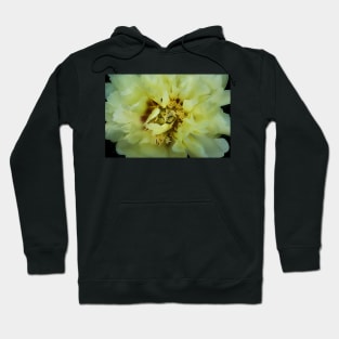 Garden Yellow Peony 4 Hoodie